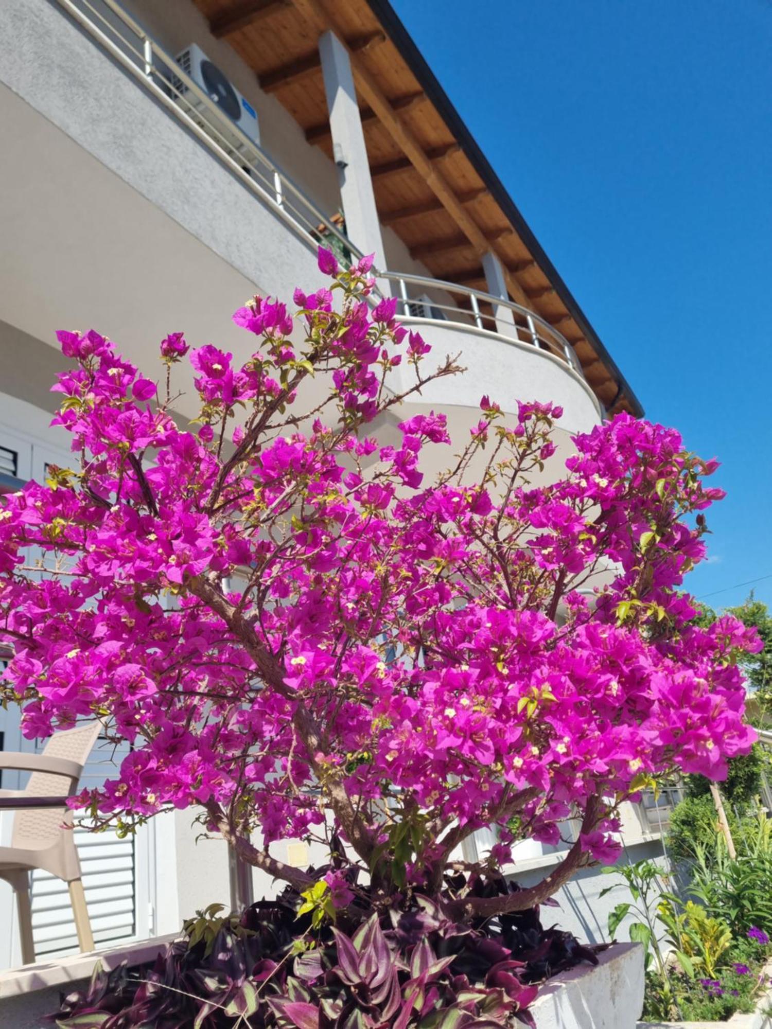 Vila Soleil Vlorë Exteriör bild